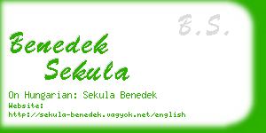 benedek sekula business card